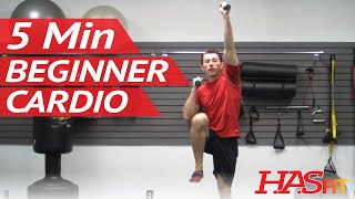 5 Minute Easy Workout  Low Impact Cardio Exercises for Beginners  Low Impact Cardio Workout [upl. by Ellivro]