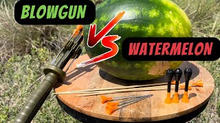 625 Blowgun VS Watermelon penetration test having fun 🍉😁 [upl. by Anavahs]