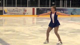 Ice Skating Tutorial for Advanced Skaters [upl. by Mcbride]