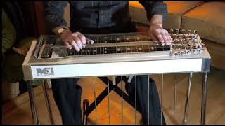 Bob Adams Pedal Steel Guitar  Look at Us [upl. by Nemajneb127]