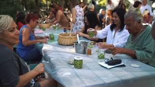 Sea Garden Harvest Day  Sea Garden Zeytin Hasadı [upl. by Stclair]