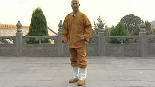 少林Shaolin Basic Kicks and footwork [upl. by Heath618]