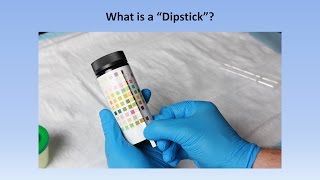 Interpretation of the Urinalysis Part 2  The Dipstick [upl. by Ahsenom]