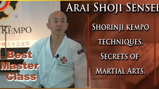 Shorinji Kempo techniques Secrets of Martial Arts Master Class Sensei Arai 少林寺拳法 技 武道少林寺拳法 [upl. by Herstein]