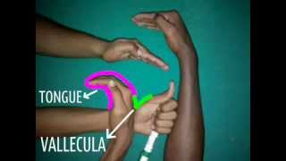 ENT EASYMake your own pharynx anatomy with hand model made easyDrVijayagovindarajanIndia [upl. by Alamac]