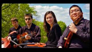 Dont Stop Believing  LFQ String Quartet [upl. by Nnyletak]