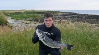 Spearfishing with massive Bass shoals in North Wales [upl. by Atoiyanap609]