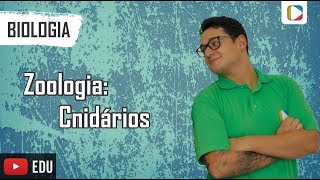 Biologia  Zoologia Cnidários [upl. by Brieta810]