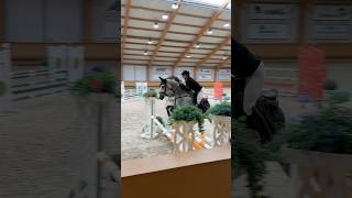 Showjumping competition 😎 pferd horse equestrian [upl. by Osbourne]