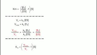 Enzyme Kinetics حركية الإنزيمات2 [upl. by Doyle78]