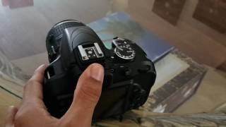 Nikon D3300 AutoFocusing Review [upl. by Nevah695]