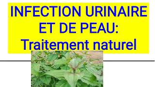 INFECTION URINAIRE ET DE PEAU  Traitement naturelefficace et moins coûteux [upl. by Carlile298]