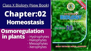 Ch2 Homeostasis  Osmotic adjustment in plants  class 10 new biology book  Sindh textbook board [upl. by Acireed]