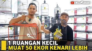 BERBURU KENARI LAGI‼️TERNYATA DISINI MASIH BANYAK RASMI PANJANG SANJAYAKU BIRDFARM [upl. by Gasper597]