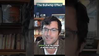 The Bullwhip Effect in Agricultural Economics [upl. by Bettine772]