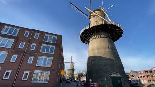 The Schiedam windmills are the tallest classic windmills in the world🇳🇱 [upl. by Borchert138]