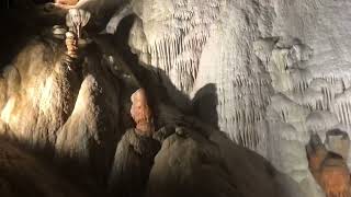 Queens canopy in Onondaga Cave State Park A National Landmark [upl. by Philippa]