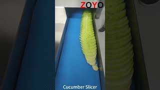 Cucumber Slicer [upl. by Hyacintha494]