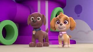 Paw Patrol Cartoon full episode Full episode in Hindi CARTOON FOR KIDS IN HINDI FOR FUN [upl. by Dreher]