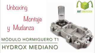 HORMIGUERO DE ANT DIMENSION  Mudanza Messor minor hesperius antdimension unboxing mudanza [upl. by Nahpets]