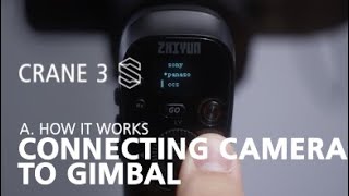 Zhiyun Crane 3S OFFICIAL tutorials A7 camera cables amp camera settings [upl. by Vitkun]