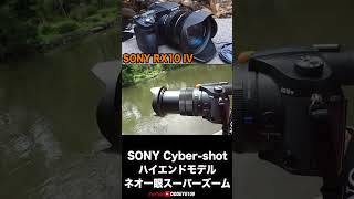 超望遠amp爆速AF SONYサイバーショットハイエンド RX10M4 基本性能紹介抜粋 [upl. by Guyon]