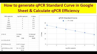 How to generate qPCR Standard Curve amp Calculate qPCR assay efficiency in google sheets [upl. by Ycnan]