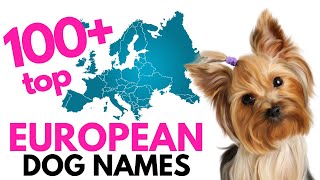 Top 100 EUROPEAN Dog names– Unique Dog Names [upl. by Petite]