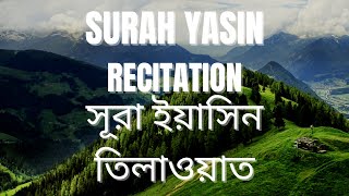 Surah YasinYaseen সূরা ইয়াসীন quran recitation live কুরআন stream [upl. by Terle]