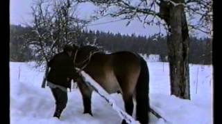 Bonden Sven Jansson plogar snÃ¶ med Prinsen 19940205 [upl. by Edmanda]