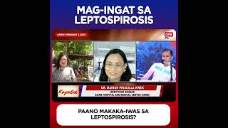 Paano makakaiwas sa leptospirosis [upl. by Acilgna]