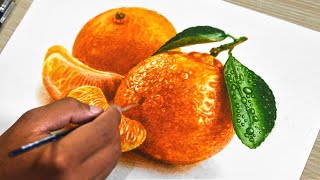 Watercolor Painting of Orange Fruits [upl. by Carbone434]