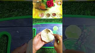 Homemade Garlic Bread  Cheese Garlic bread  garlicbread cheesegarlicbread streetfood viral [upl. by Amikat]