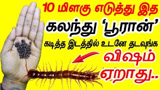 இனி கடித்தால் விஷம் ஏறாது 10 மிளகு போதும் pooran kadi marundhu  pooran kadithal ena seiya vendum [upl. by Nicoli]