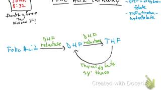 Folic acid pathway [upl. by Garrity]