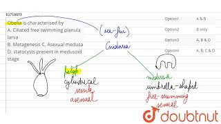 Obelia is characterised by A Ciliated free swimming planula larva B Metagenesis ltBrgt C [upl. by Illa]