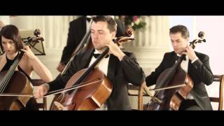 Vivaldi The Four Seasons Summer LEstate 3rd movement [upl. by Evin233]