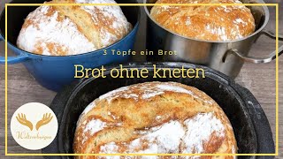 Nur 3 Stunden und 1 Tasse So ein leckeres Brot hast du noch nicht gegessen Brot ohne kneten [upl. by Reich438]