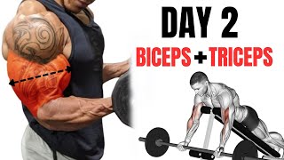 FULL ARMS WORKOUT FOR BEGINNERS  BICEPS  TRICEPS  ARMS WORKOUT  DAY 2 [upl. by Eilegna]