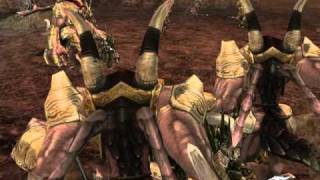 Lineage 2 Stakato Nest pole exp [upl. by Hardigg41]