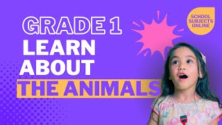 Grade 1 Lesson Lets Learn About Animals [upl. by Soisanahta]