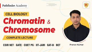 Chromatin and Chromosome  Cell Biology  Pranav Kumar  CSIR NET  GATE  DBT  ICMR  IIT JAM [upl. by Anavlis]