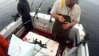 Adventures at Sea Albacore Tuna Fishing Part 1 [upl. by Davina]