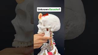 Earache Let’s find out if it’s your TMJ earache tmd [upl. by Petras]