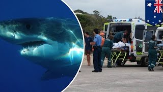 Shark attack Teenage surfer dies after mauled by shark in Australia  TomoNews [upl. by Evreh598]