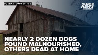 Deputies uncover deplorable conditions dead dogs at WV property [upl. by Inesita]