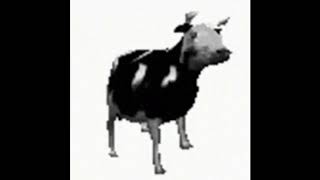 춤추는 소 밈Polish Cow 밈 [upl. by Verdie344]