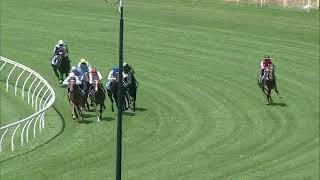 Risky Investment  Eagle Farm 8th October 2022 [upl. by Kawai]