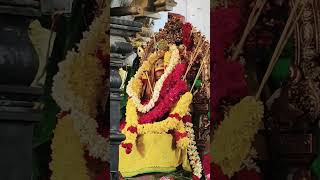 Om Saravana Bhava This is one of the most famous and powerful devotional songs dedicated to Murugan [upl. by Adrea]