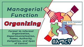 Organizing in Management በአማርኛ [upl. by Swirsky]